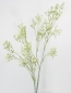Preview: Schleierkraut-Zweig creme ca. 70cm HA5JHPD037CM1006